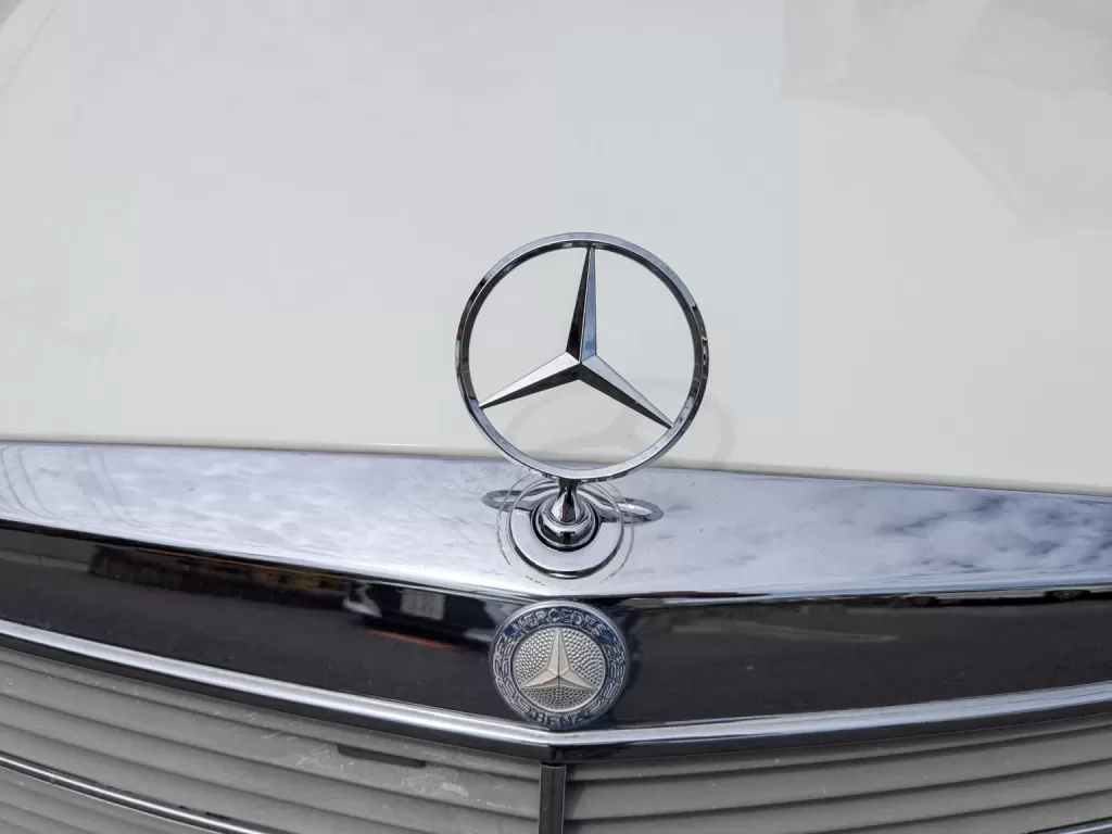 Gemma4のVision推論テストに用いた入力画像